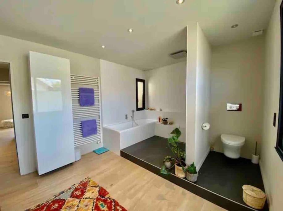 Maison D Architecte Bruges/Piscine Chauffee/Tram D Extérieur photo